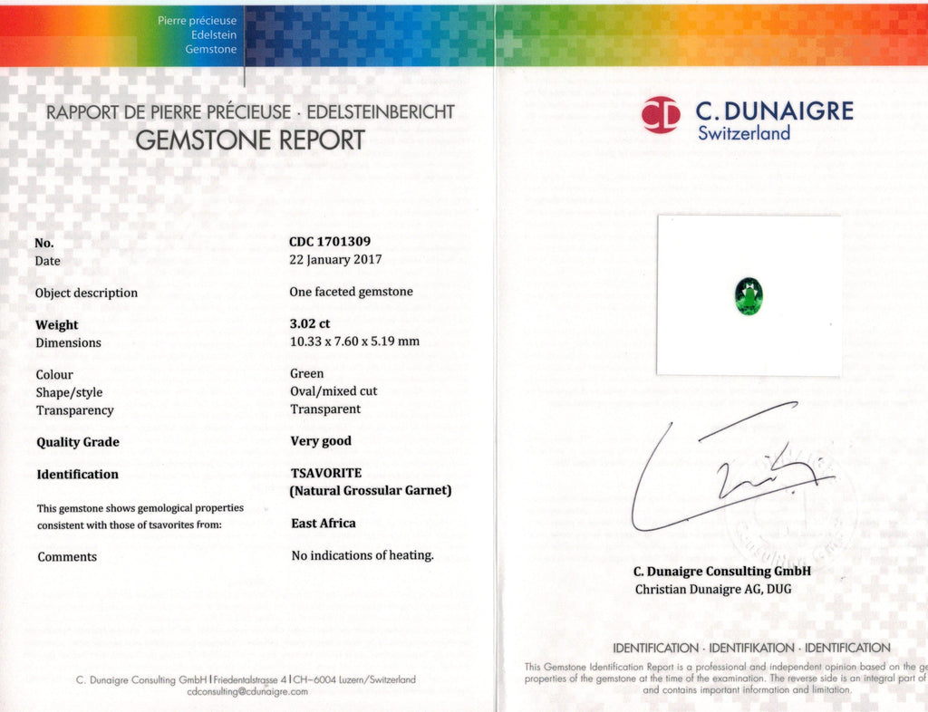3.02 Carat Oval Green Tsavorite and Diamond Ring - David Gross Group